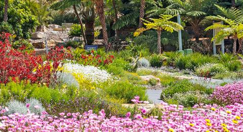 The Australian Botanic Garden, Mount Annan
