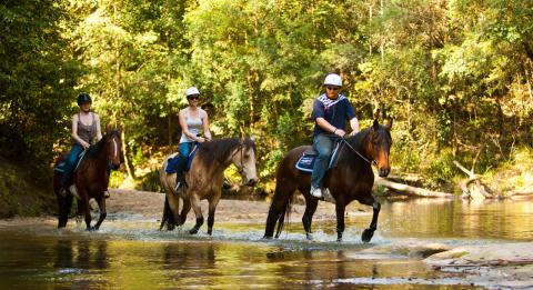 Glenworth Valley Outdoor Adventures