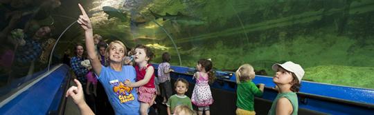 水族館で海洋生物を見る子供たち