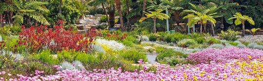 オーストラリア植物園、マウント・アナン