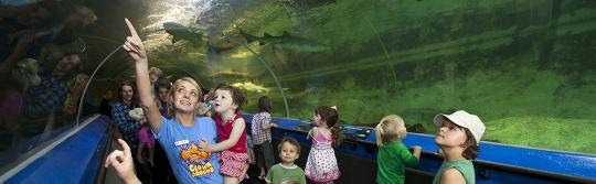 水族館で海洋生物を見る子供たち