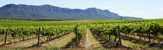 Wine regions, Hunter Valley